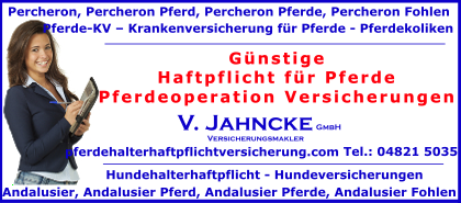 Haftpflicht-fuer-Pferde